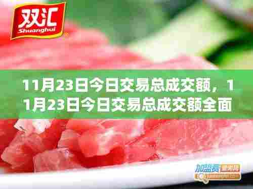 11月23日今日交易总成交额,11月23日今日交易总成交额全面评测与介绍