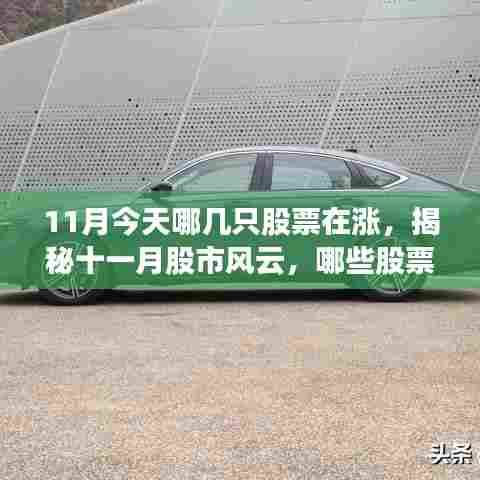 揭秘十一月股市风云，哪些股票逆势上扬于今日？