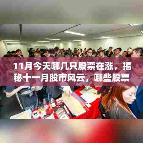 揭秘十一月股市风云,哪些股票逆势上扬于今日?