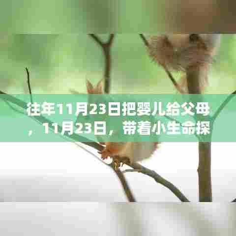 11月23日,婴儿交付与探索自然美景的奇妙之旅