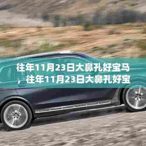 往年11月23日大鼻孔与宝马品牌的公众情感探讨日
