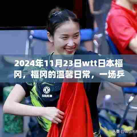 乒乓球与友情的奇妙邂逅,福冈日常时光(2024年日本福冈WTT赛事报道)