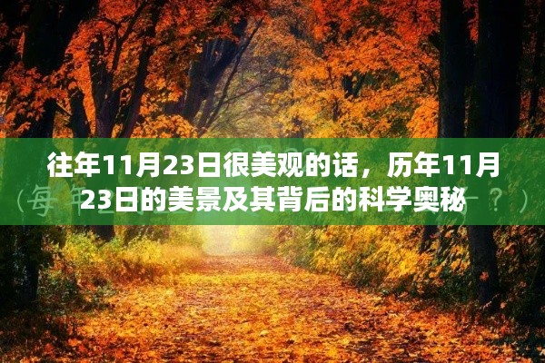 历年11月23日美景背后的科学奥秘与观赏价值探索