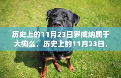 历史上的11月23日罗威纳犬在大狗世界中的地位与影响