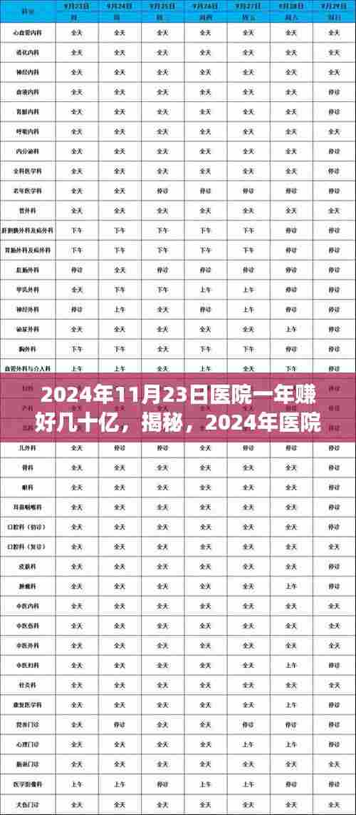 揭秘医院盈利巅峰背后的故事，一年盈利达数十亿，2024年医院运营内幕探究。