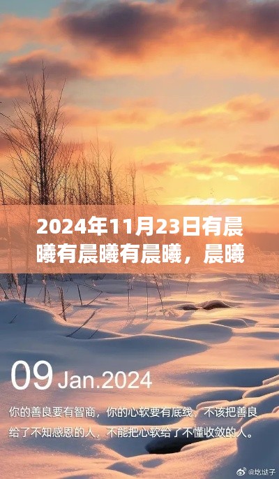 晨曦再现,2024年11月23日的特别晨曦