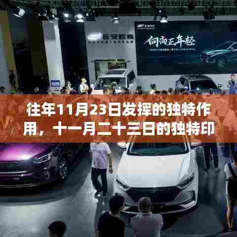 十一月二十三日的独特印记,历史长河中闪耀的瞬间