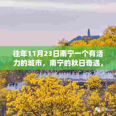 南宁秋日奇遇，活力四溢的温馨城市故事