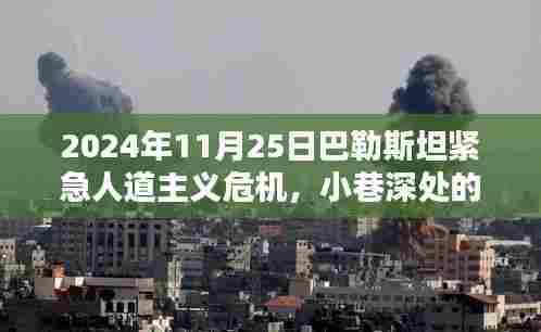 巴以危机中的温情庇护所,巴勒斯坦紧急人道主义危机下的奇迹故事