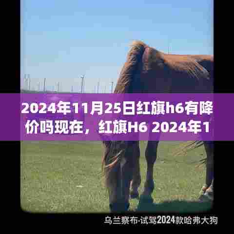 红旗H6 2024年深度评测,价格走势、特性解析、使用体验与目标用户分析——红旗H6未来降价趋势预测