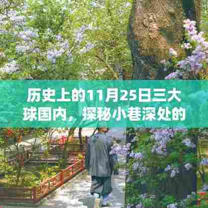 探秘小巷深处的历史记忆,揭秘11月25日三大球国内传奇与风味小店的奇缘
