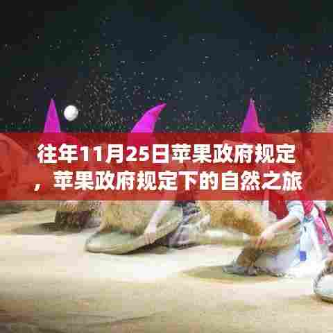 苹果政府规定下的自然之旅，探寻内心平静的奇妙探险之旅