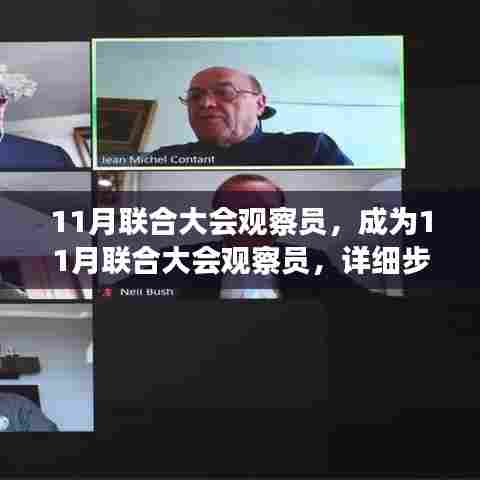 详细步骤指南,成为11月联合大会观察员