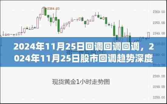 独家解析，2024年11月25日股市回调趋势深度解读