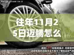 揭秘,为何往年11月25日迈腾车主钟爱选择330轮胎的原因?