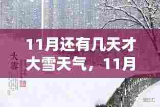 11月等待大雪,时光流转中的观点碰撞与期待