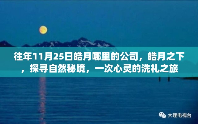 皓月之下探寻自然秘境的心灵洗礼之旅