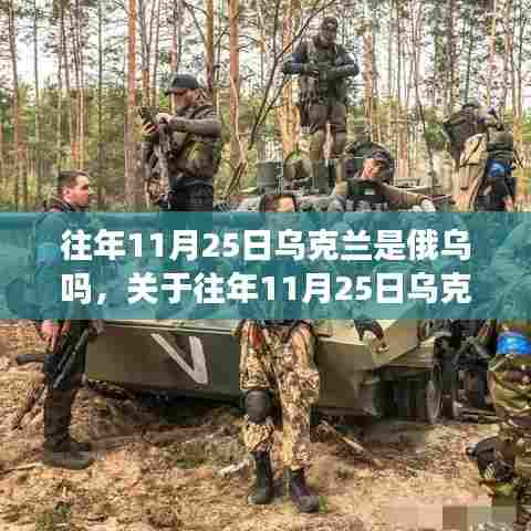 关于俄乌关系及往年乌克兰在特定日期的归属探讨与解析