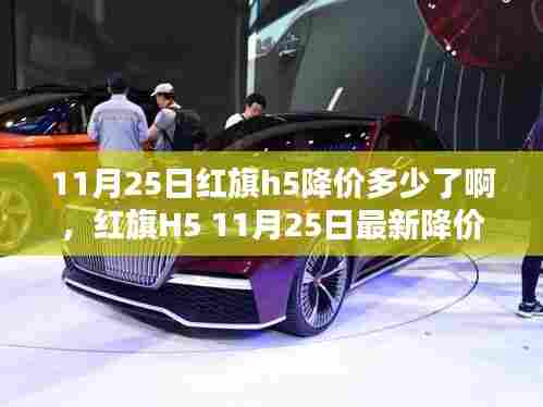 红旗H5最新降价消息深度解析,车市动态与降价趋势分析(时间,11月25日)