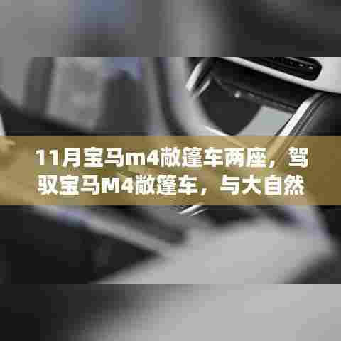 宝马M4敞篷车,与自然美景的私密之约,探寻内心平静的奇幻旅程