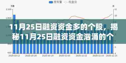 揭秘11月25日融资资金汹涌的个股,洞悉市场动向,把握投资机会!