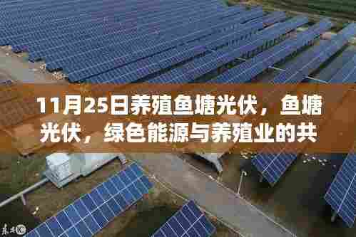 11月25日养殖鱼塘光伏革新纪事,绿色能源与养殖业的和谐共舞