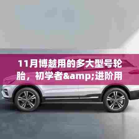 博越汽车十一月热门型号轮胎选择与安装指南,初学者到进阶用户的详细步骤与推荐轮胎型号