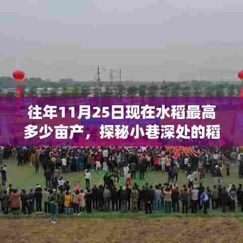 探秘稻香秘境，揭秘水稻高产背后的故事与稻田风味小店，往年水稻最高亩产量揭晓