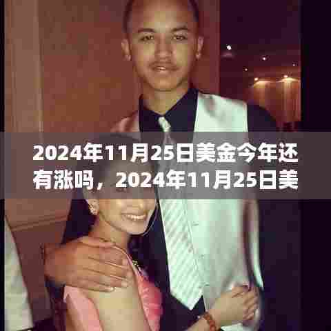 2024年11月25日美金走势预测,涨势能否持续?