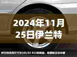 伊兰特轮胎最佳尺寸选择,启程探寻自然美景之旅,启程寻找内心的宁静之路(日期,XXXX年XX月XX日)