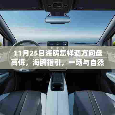 海鸥指引下的心灵之旅,与自然共舞,探寻方向盘高低调整与心灵宁静港湾的奇妙之旅