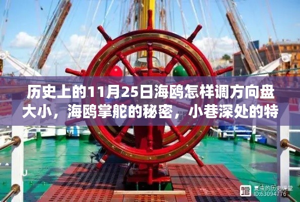 海鸥掌舵的秘密与小巷特色小店背后的方向盘故事，历史上的11月25日揭秘海鸥方向盘调整大小的历史与故事