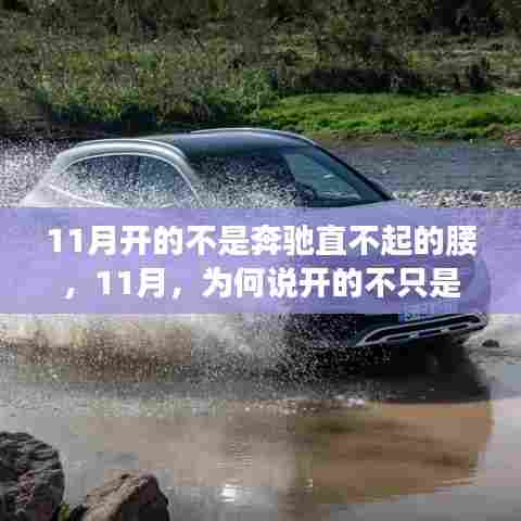 探究背后的深层含义,为何说11月开的不仅是奔驰?