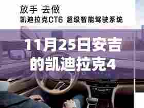 探寻安吉凯迪拉克4S店——11月25日店铺数量统计详细指南