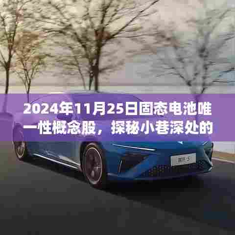 探秘固态电池新星,2024年唯一性概念股初露锋芒,小巷深处的科技力量