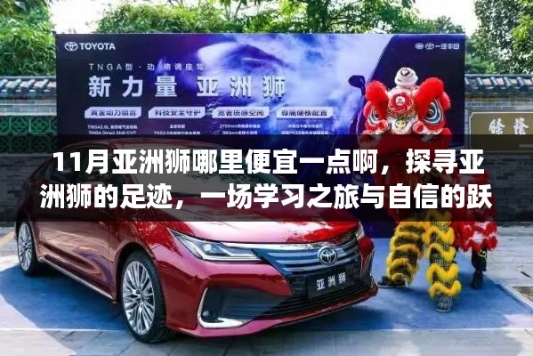 探寻亚洲狮的足迹,11月学习之旅与自信跃升,寻找性价比高的观赏地