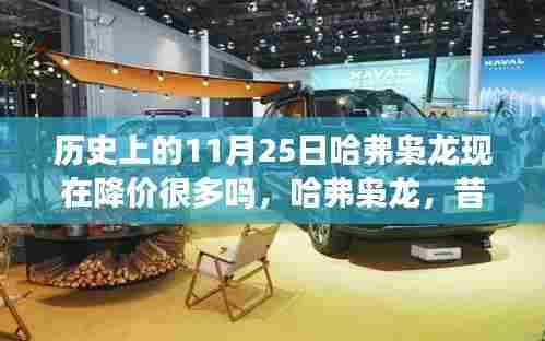 揭秘昔日荣光哈弗枭龙今日降价背后的故事,历史降价趋势深度解析