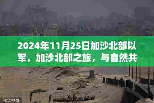 加沙北部之旅,与自然共舞,寻找内心的宁静之时(2024年11月25日以军视角)
