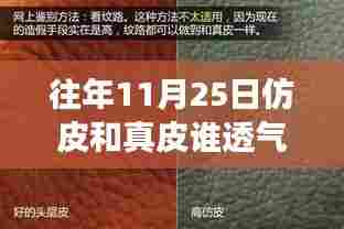 真皮与仿皮透气性的对比,一个关于透气性与友情的探讨