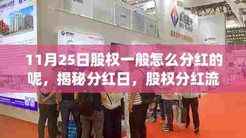 揭秘股权分红流程,从分红日至细节解析的指南(11月25日篇)