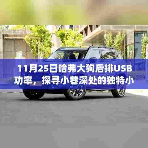 哈弗大狗后排USB功率背后的故事,探寻小巷深处的独特小店之旅