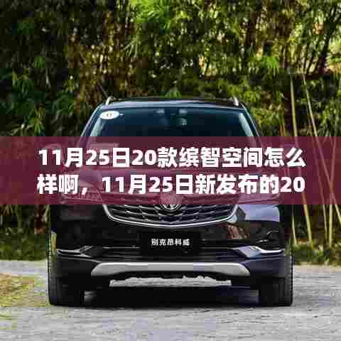 深度解析,20款缤智空间表现如何?最新发布报告揭示真相!