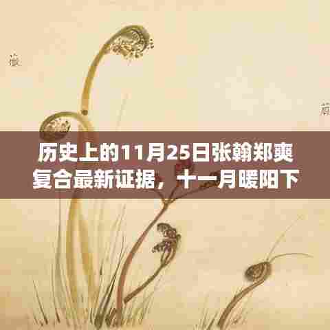 张翰与郑爽在十一月暖阳下的重逢,历史证据揭示复合温馨故事