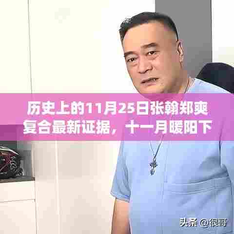 张翰与郑爽在十一月暖阳下的重逢,历史证据揭示复合温馨故事