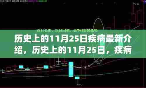 历史上的11月25日，疾病之日的深度解读与最新介绍