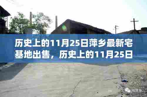 历史上的11月25日萍乡宅基地出售事件深度解析与观点视角
