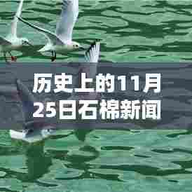 历史上的11月25日石棉新闻回顾与最新报道速递