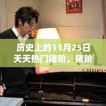 历史上的猪阶温馨时光,11月25日的快乐瞬间