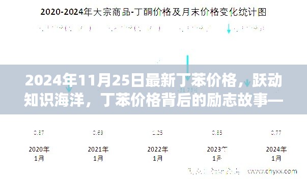 探寻丁苯价格背后的故事,曙光中的励志篇章(2024年11月25日最新资讯)