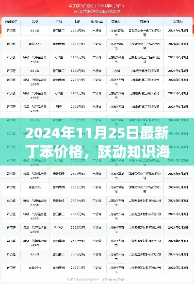 探寻丁苯价格背后的故事,曙光中的励志篇章(2024年11月25日最新资讯)